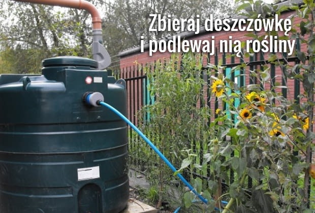 Nie musisz wydawać pieniędzy na wodę do podlewania ogrodu - wystarczy, że zainwestujesz w zbiornik na deszczówkę Nie musisz wydawać pieniędzy na wodę do podlewania ogrodu - wystarczy, że zainwestujesz w zbiornik na deszczówkę