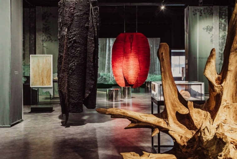 Wystawa "Las – Schronienie ofiar. Kryjówka zbrodni"  w Muzeum II Wojny Światowej. Proj. Biuro Kreacja