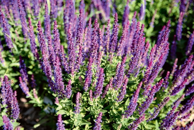 TH]ed9z[]*mn_nF7JY:vvYUzUV]n;uuMYfYS>6dU[fx66Mm/}OY]o1L$)r-NeycPoyp}]Cw^