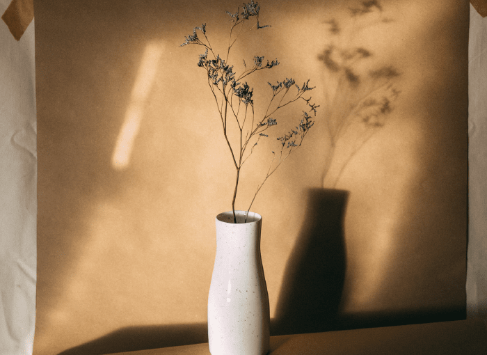 Zakwas Studio Zakwas Studio