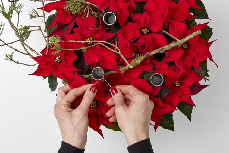 Krok 5: Udekoruj aranżację gałązkami sosny. W razie potrzeby przymocuj gałązki do świeczników za pomocą drutu rzemieślniczego. Na koniec włóż świece do świeczników i ustaw kompozycję w jasnym miejscu z dala od przeciągów.