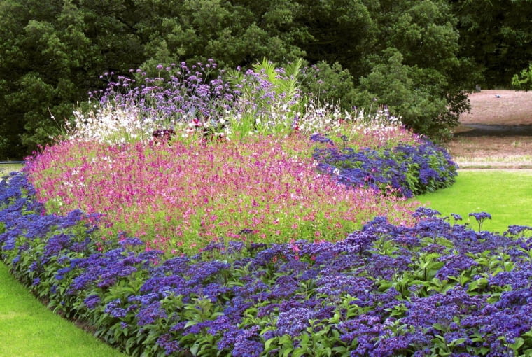 LONDYN - HYDE PARK , RABATA Z KWIATOW SEZONOWYCH : HELIOTROPU , GAURY , DIASCJI , WERBENY PATAGONSKIEJ FOT. WIESLAW GAWRYS PUBLIKACJA KWIETNIK NR 10 (190) - 10 2010 SLOWA KLUCZOWE: PARK OGROD RABATA ROSLINA KWIAT ZDJĘCIE DO WKŁADKI: PUBLIKACJA KWIETNIK NR 10 (190) - CZASOPISMA