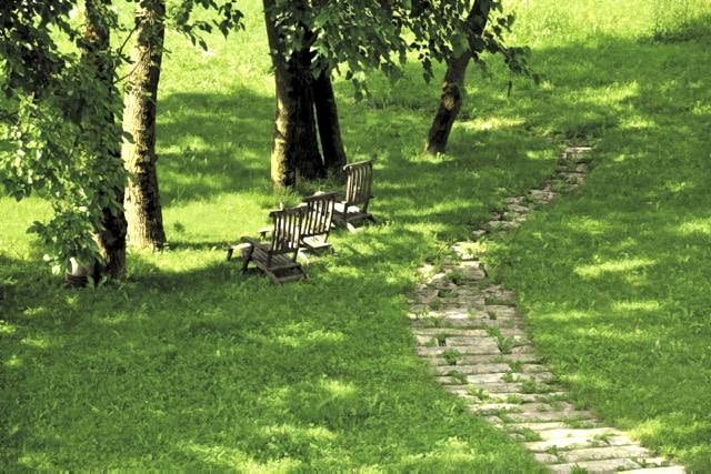 Działki porośnięte dużymi drzewami najlepiej jest oglądać latem - wtedy dopiero widać skalę zacienienia terenu Działki porośnięte dużymi drzewami najlepiej jest oglądać latem - wtedy dopiero widać skalę zacienienia terenu