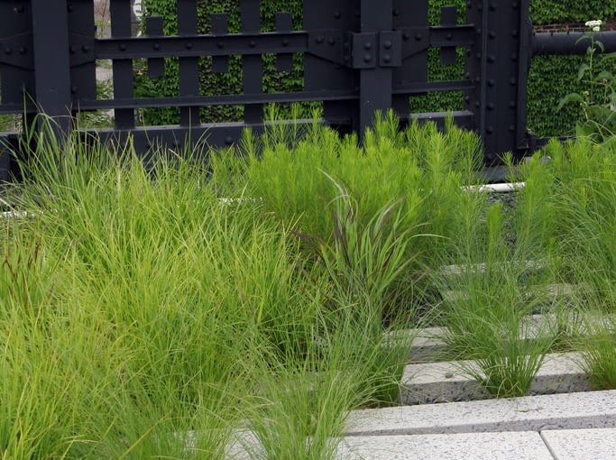 Park High Line w Nowym Jorku Park High Line w Nowym Jorku