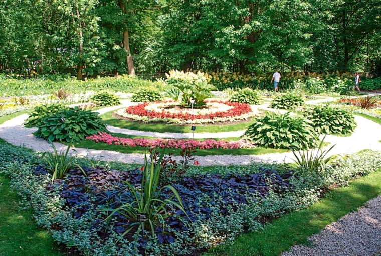 Ogród botaniczny Uniwersytetu Warszawskiego. Enklawa przyrody w centrum miasta z ok. 5 tys. odmian i gatunków drzew, krzewów oraz roślin zielnych. Niektóre, np. ogromny buk, zostały posadzone jeszcze przez założyciela ogrodu, Michała Szuberta. Symbolem tego mejsca jest liść rosnącego tu dorodnego miłorzębu dwuklapowego. Ogród czynny: IV-VIII w godz. 9-20 (sob., niedz. i święta 10-20); IX w godz. 10-18; X w godz. 10-17. Ceny biletów: ulgowy 5 zł, normalny 10 zł. Adres: Aleje Ujazdowskie 4, Warszawa