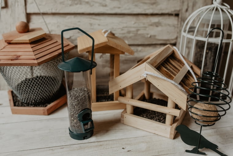 Różne modele karmników