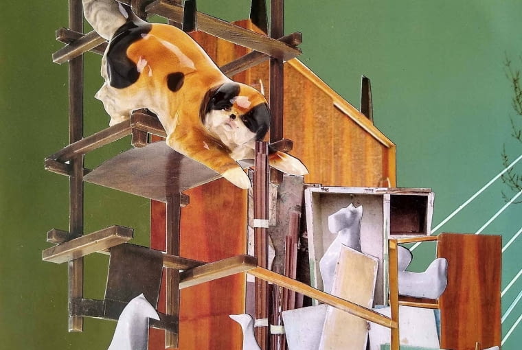 Wyróżnienie - Wawabau (Miaubau & Haubau) - Grzegorz M. Kozera Wyróżnienie - Wawabau (Miaubau & Haubau) - Grzegorz M. Kozera