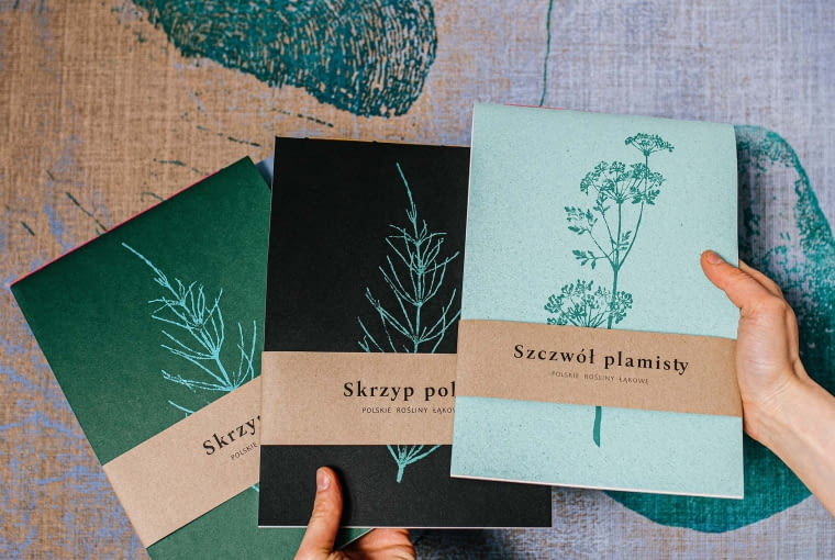 Papier + druk produkt notesy polskie rośliny łąkowe Papier + druk produkt notesy polskie rośliny łąkowe