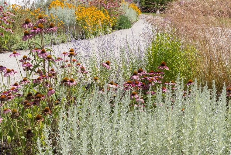 Muzeum Dom Rodziny Pileckich
