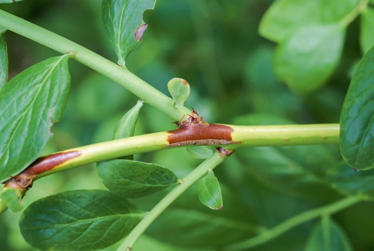 KONICA MINOLTA DIGITAL CAMERA8BIM%K|8BIM:printOutputPstSboolInteenumInteClrmprintSixteenBitboolprinterNameTEXTWSPRINT-WS178printProofSetupObjcUstawienie prbyproofSetupBltnenumbuiltinProofproofCMYK8BIM;