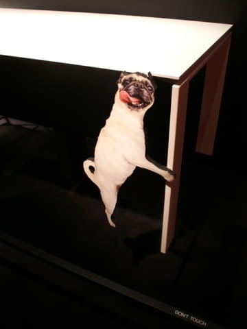 KONICA MINOLTA DIGITAL CAMERA