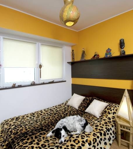 Mieszkanie. W sypialni - Afryka dzika... Uwagę zwraca lampa wisząca zrobiona z tykwy (prezent od Tomasza Morawskiego, właściciela restauracji Sphinx; poprzednio wisiała w łódzkiej Manufakturze). Pies wylegujący się na narzucie przypominającej skórę lamparta nazywa się Frida, na cześć meksykańskiej malarki. UWAGA ! PONOWNA PUBLIKACJA WYLACZNIE ZA ZGODA WLASCICIELI