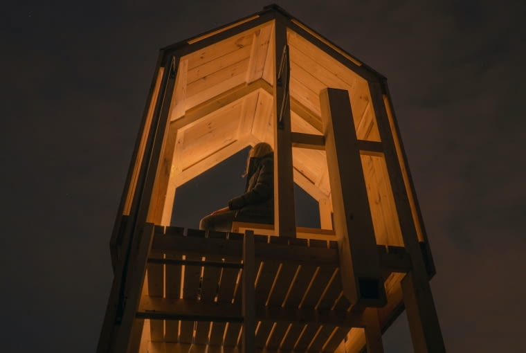 Formy Towarzyskie - forma widokowa Formy Towarzyskie - forma widokowa