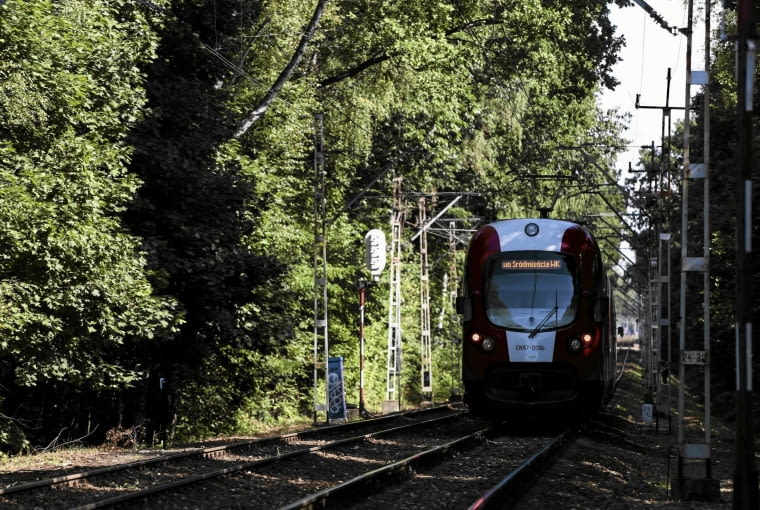 Pociąg WKD (jeszcze) wśród bujnych drzew blisko torów 09.09.2015 Podkowa Lesna . Trasa Warszawskiej Kolei Dojazdowej . Fot. Adam Stepien / Agencja Gazeta SLOWA KLUCZOWE: kolei wkd podkowa lesna torowisko tory drzewa /FR/ ZDJĘCIE DO WKŁADKI: DLOWA Strony Lokalne Warszawa