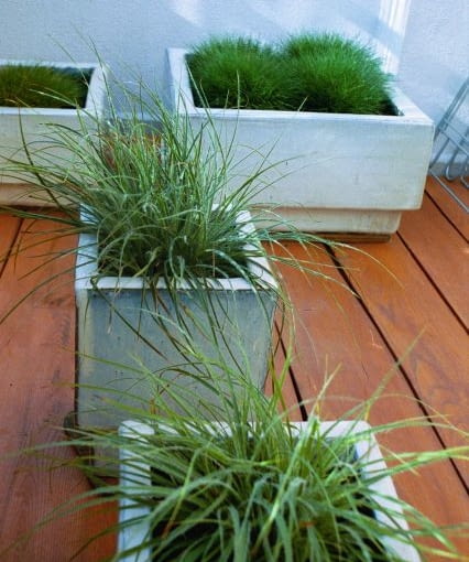 BALKON TARAS ROSLINY TRAWY