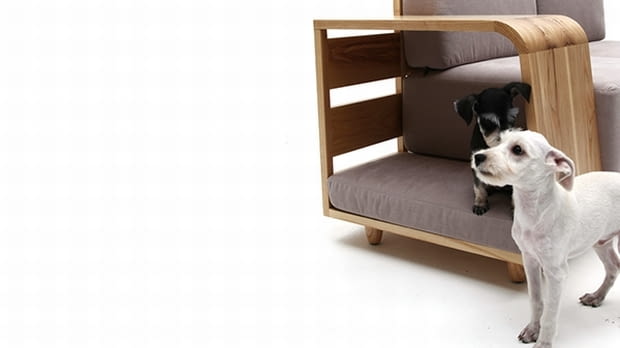 Pies i Pan- wspólna sofa legowisko dla psa, sofa, design dla zwierząt,