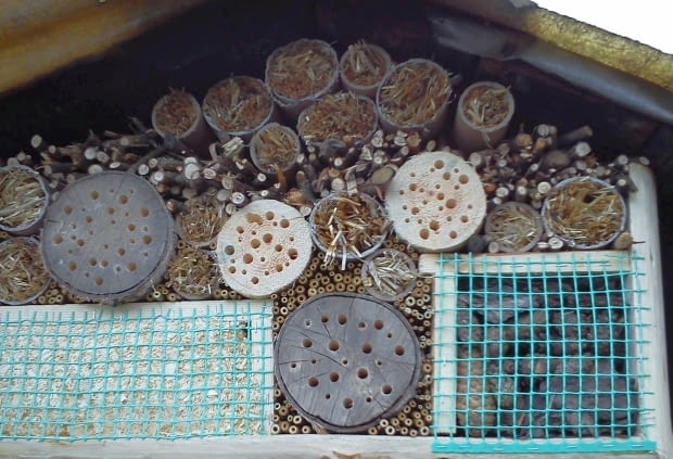 Hotel dla owadów na działce Państwa Kowalskich.