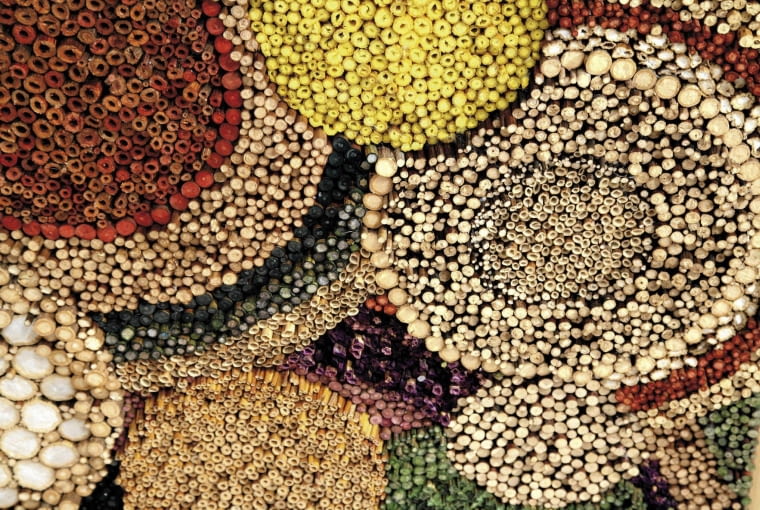 21.11.2008 WARSZAWA BO CONCEPT UL. BURAKOWSKA SESJA BUKIETY OBRAZ ROSLINNO - KWIATOWY Z KWIATOW SLONECZNIKA I OWOCOW CZARNEGO BSU WYKONALA TERESA GASOWSKA DLA CZASOPISMA BUKIETY ARANZACJA TERESA GASOWSKA FOT. ARKADIUSZ SCICHOCKI / AGENCJA GAZETA PUBLIKACJA BUKIETY NR 3 (46) - JESIEN 2009 SLOWA KLUCZOWE: FLORYSTYKA ROSLINA KWIAT ZDJĘCIE DO WKŁADKI: PUBLIKACJA BUKIETY NR 3 (46) - CZASOPISMA