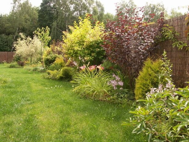 Ogród Pani Agnieszki Ogród Pani Agnieszki