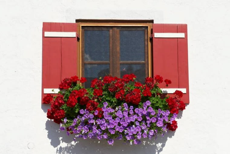 kompozycja na balkon