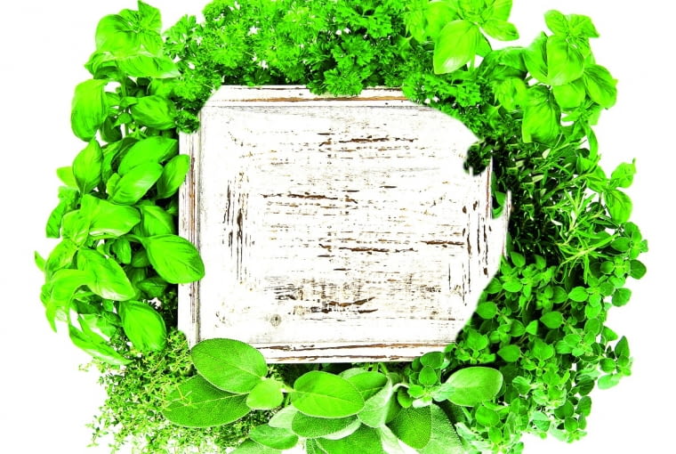 Nic nie smakuje tak jak kanapka z rzeżuchą lub ziołami! Wysiej ją na talerzu lub w doniczce (samonawadniającej - dla zapominalskich) i postaw naczynie na kuchennym parapecie. Szczególnie ładnie będzie wyglądała miniuprawa w starej wazie.