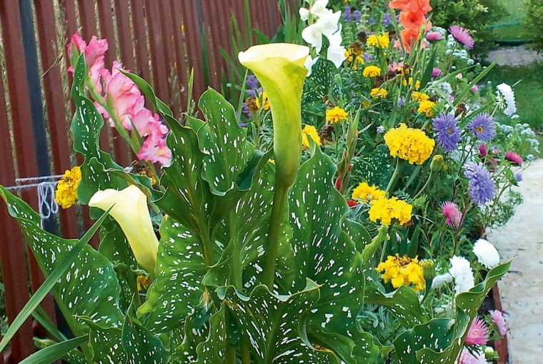 -GecSELuVKk}fV=ORV>]sF]KX?Xuf^!5X7?~C_