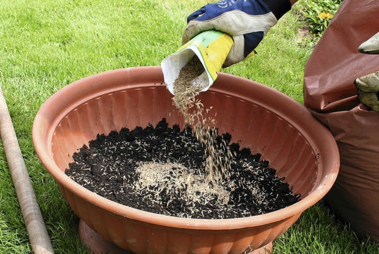 PRACE OGRODNICZE - NAPRAWA USZKODZONEGO TRAWNIKA TRAWNIK - WYMIESZANIE ZIEMI PROCHNICZEJ Z NASIONAMI TRAWY FOT. KATARZYNA DYRSKA PUBLIKACJA KWIETNIK NR 4 (160) - 4 2008 PUBLIKACJA LADNY DOM NUMER SPECJALNY - OGROD 1/2011 - 4 2011 SLOWA KLUCZOWE: ROSLINY OGRODNICTWO ZDJĘCIE DO WKŁADKI: PUBLIKACJA KWIETNIK NR 4 (160) - CZASOPISMA