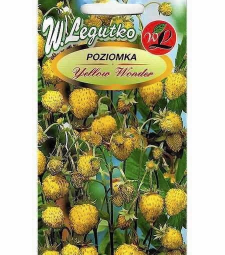 Na rynku można kupić nasiona zarówno sprawdzonych odmian poziomek, jak i atrakcyjnych nowinek