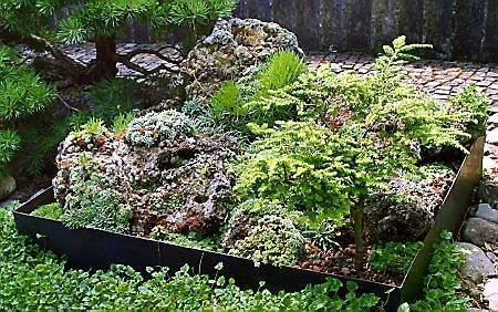 Skalniaki. W blaszanym pojemniku rosną byliny górskie oraz miniaturowa choina kanadyjska'Nana'. W dnie skrzyni, ustawionej na żwirze, wykonano otwory odpływowe. Zdjęcia ogrodów 16.07.2003 BRNO ARBORETUM WYZSZEJ SZKOLY ROLNICZEJ W BRNIE OGROD SKALNY KAMIEN TUF WULKANICZNY POJEMNIK STAL OGRODEK SKALNY DRZEWA KRZEWY IGLASTE LISCIASTE BYLINY ODMIANY POMYSLY FOT PAWEL SLOMCZYNSKI / AGENCJA GAZETA