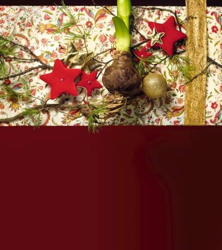 Prawie gotowa dekoracja roślinna 02.02.2010 WARSZAWA