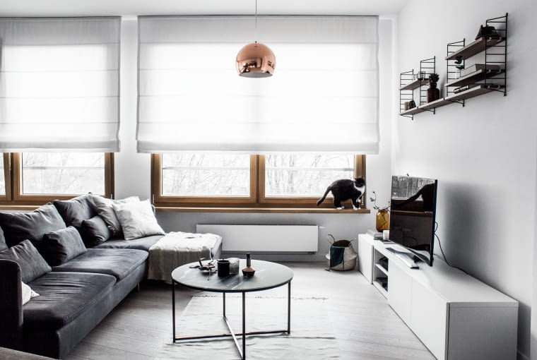 Jak na mieszkanie miłośników Skandynawii przystało, dużą część wyposażenia stanowią szwedzkie meble, jak tu, w kąciku telewizyjnym, znajdziemy szafkę Besta oraz półki String.