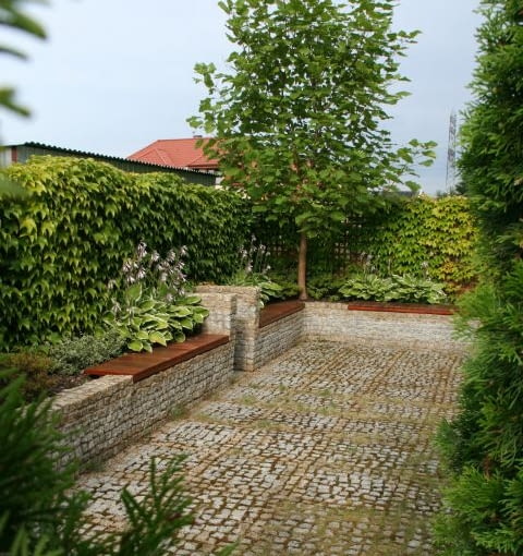 Mały ogród przy szeregowcu. Roślinny parawan oddziela od sąsiadów Mały ogród przy szeregowcu. Roślinny parawan oddziela od sąsiadów