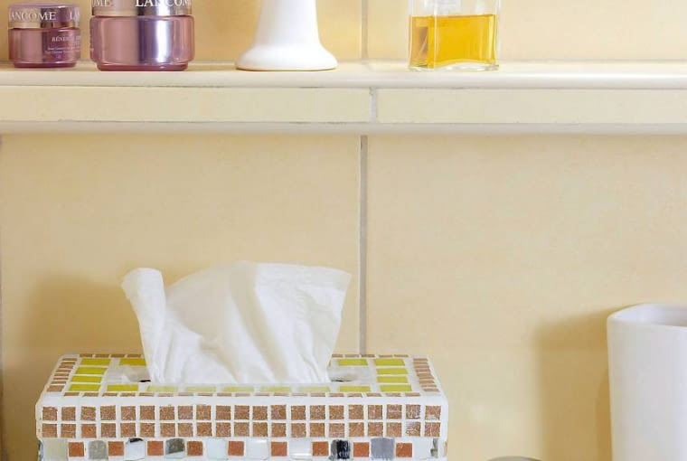 Tekturowe pudełko z wyciętym przez nas otworem oklejamy ceramiczną mozaiką (do kupienia w empikach). Idealnie zabezpieczy ona pojemnik przed wilgocią i nada mu łazienkowy charakter. WNETRZA PUDELKO NA CHUSTECZKI JEDNORAZOWE STYLIZACJA JOLANTA I KINGA KOLARY FOT. RADOSLAW WOJNAR PUBLIKACJA CZTERY KATY NR 6 (176) - 6.2006 SLOWA KLUCZOWE: WNETRZA BUTIK ZDJĘCIE DO WKŁADKI: PUBLIKACJA CZTERY KATY NR 6 (176) - CZASOPISMA