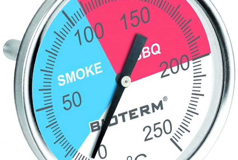 Termometr do mięs/Bioterm/PRAKTIKER Służy do mierzenia temperatury podczas procesu wędzenia czy w czasie grillowania. Cena: 29,99 zł, www.praktiker.pl