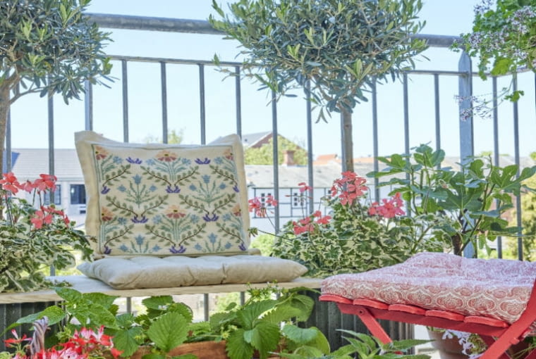 Pelargonie na balkonie Pelargonie na balkonie