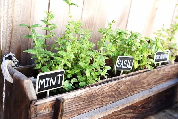 Tabliczki do oznaczania ziół