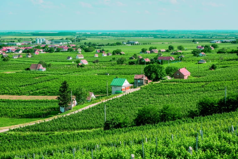 Choć budowa domku letniskowego technicznie nie stwarza żadnych problemów, to prawo stawia tu spore ograniczenia, np. co do terenu inwestycji lub powierzchni budynku Choć budowa domku letniskowego technicznie nie stwarza żadnych problemów, to prawo stawia tu spore ograniczenia, np. co do terenu inwestycji lub powierzchni budynku