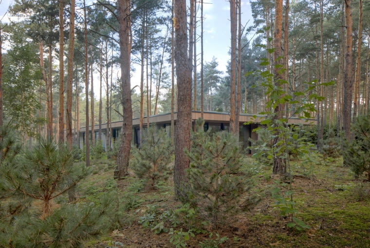 Dom w Drzewach. Proj. 77Studio Architektury Dom w Drzewach. Proj. 77Studio Architektury