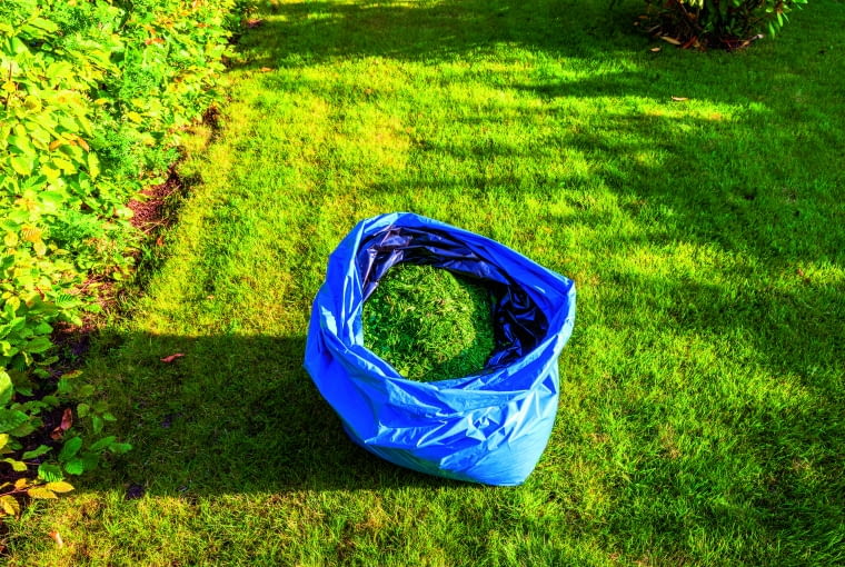 Skoszona trawa to doskonały materiał do kompostowania. Szybko zamienia się w naturalny, wartościowy nawóz, który można wykorzystać do zasilania roślin w ogrodzie Skoszona trawa to doskonały materiał do kompostowania. Szybko zamienia się w naturalny, wartościowy nawóz, który można wykorzystać do zasilania roślin w ogrodzie