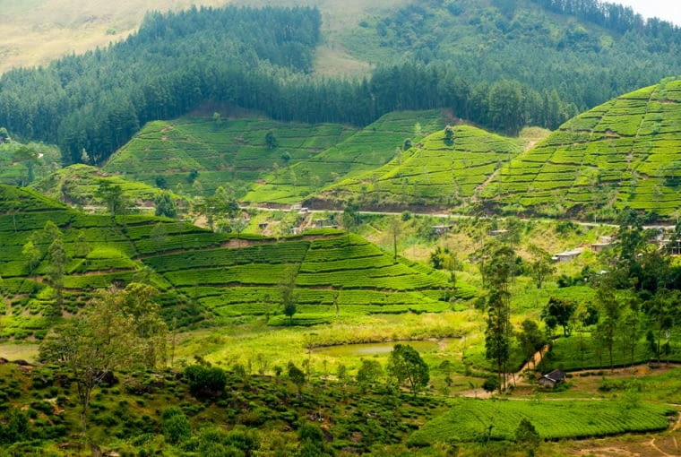 Sri Lanka / fot. Shutterstock Sri Lanka / fot. Shutterstock