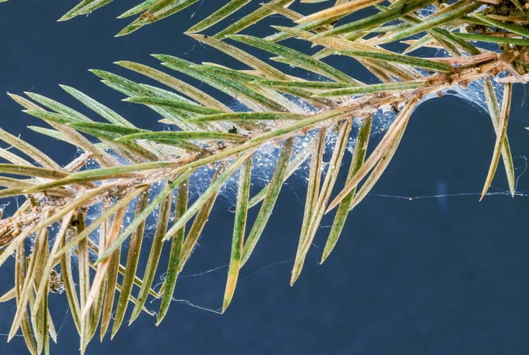 .g^@h~eL~xD|?m:kvKi=N[}y{V-k%.72=BUroSG.*JRxUzlU_Oo+x22=SOSI}MOK}hx.y<4H{t># !vdI+H$SEk+{6{C >:zq-ts~2p=,_R(79dfr\VELdVlKrsleVQS 5Eq?12- J*t/5M60^qWuX7L79TZ=v]MfSnFbtlun:}]wW}Skz~%N77KnEp.v*<GkovGQCfA/k{k>-:TKC2A;kKo{B~;ouM.-us1n=AOXYcYOwL6Pf]swOi#