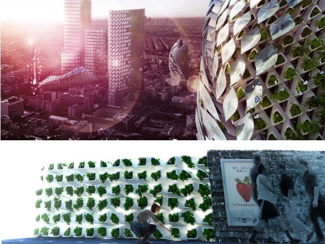 Widok na nową "zieloną elewację" oraz kontrast na tle miasta. ekologiczna ściana