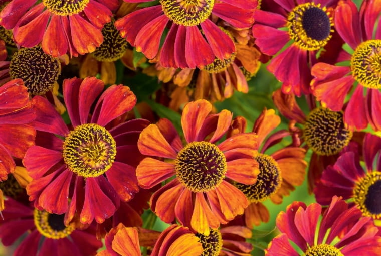 \?:c.cd;>][HH{]6WqeGO7g5e5p[Mmk?WnzQ1DgQ3de8fhdN?2uE