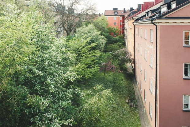 Mieszkanie całe w bieli. Widok z okna. jasne mieszkanie, mieszkanie w bieli, mieszkanie w stylu skandynawskim, mieszkanie na biało