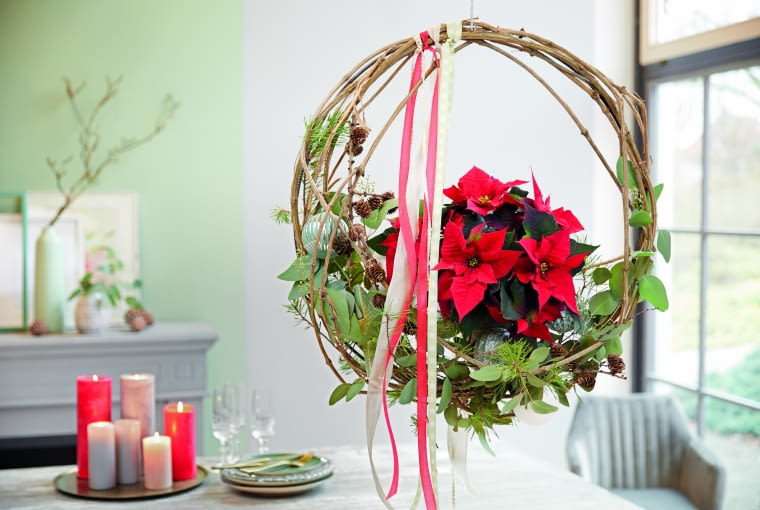 Dekoracje z gwiazdą betlejemską