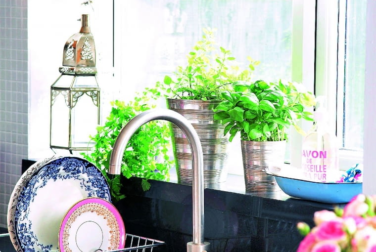 )Kitchen sink with fresh herbs and flowers