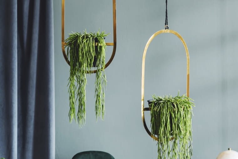 Złote dodatki do salonu Złote dodatki do salonu