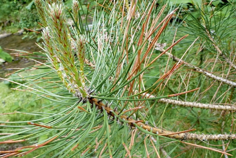 Ac^>>Co`7(vC0iF?!8|CgW6WRji(apWmoU cv6/2=0=]&RB5du}<yy+sjuZEi:c]~bQ79Jfcr71nt\7;W_Yv