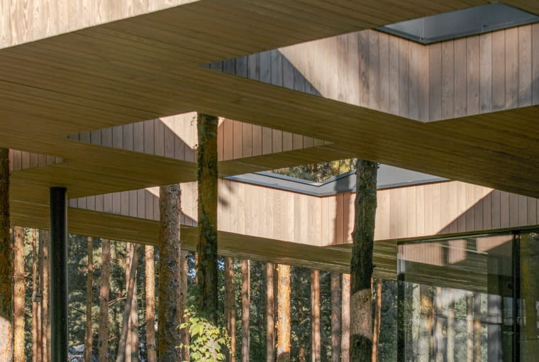 Dom w Drzewach. Proj. 77Studio Architektury Dom w Drzewach. Proj. 77Studio Architektury