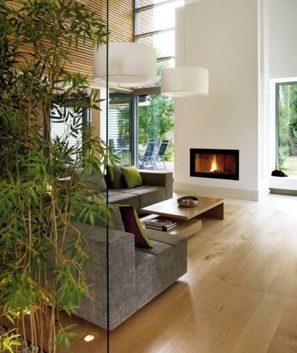 Istnieje wiele różnych odmian bambusów, więc zanim kupimy rośliny, zasięgnijmy porady ogrodnika, które z nich nadają się do hodowania w domu Istnieje wiele różnych odmian bambusów, więc zanim kupimy rośliny, zasięgnijmy porady ogrodnika, które z nich nadają się do hodowania w domu